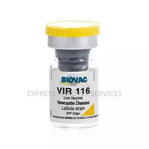 Vir 116 (Lasota)