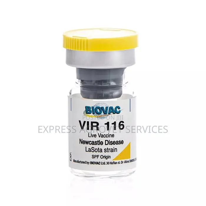 Vir 116 (Lasota)