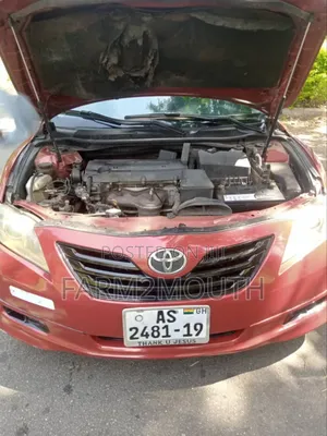 Toyota Camry LE 4dr Sedan (2.4L 4cyl 5A) 2009 Red