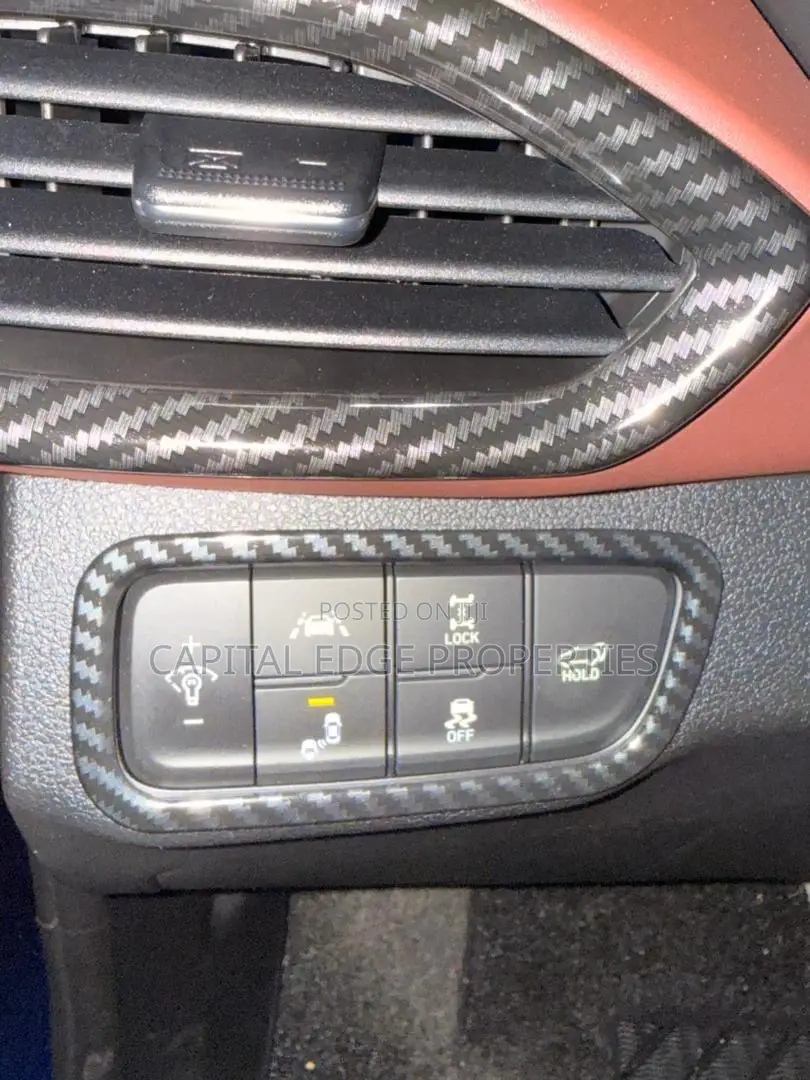 Hyundai Santa Fe Ultimate 2.0T AWD 2019 Blue