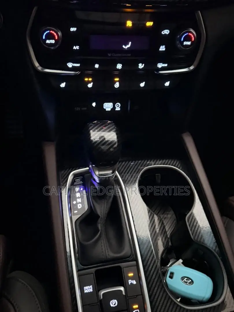 Hyundai Santa Fe Ultimate 2.0T AWD 2019 Blue