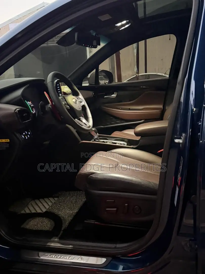 Hyundai Santa Fe Ultimate 2.0T AWD 2019 Blue