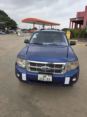 Ford Escape 2008 Blue