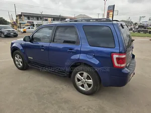 Ford Escape 2008 Blue