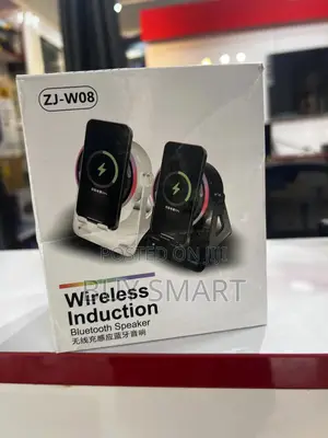 Wireless Induction Bluetooth Speaker