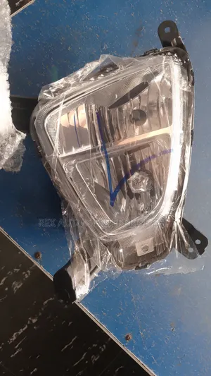 Kia Sorento Fog Light and Cover 2016-2017 (American)