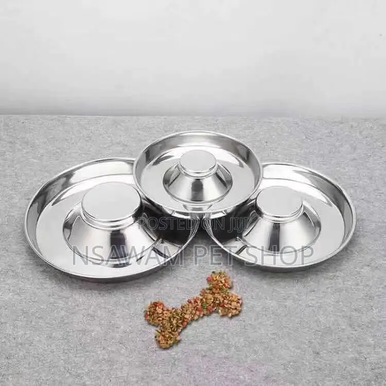 Puppy Saucer Slow Eater