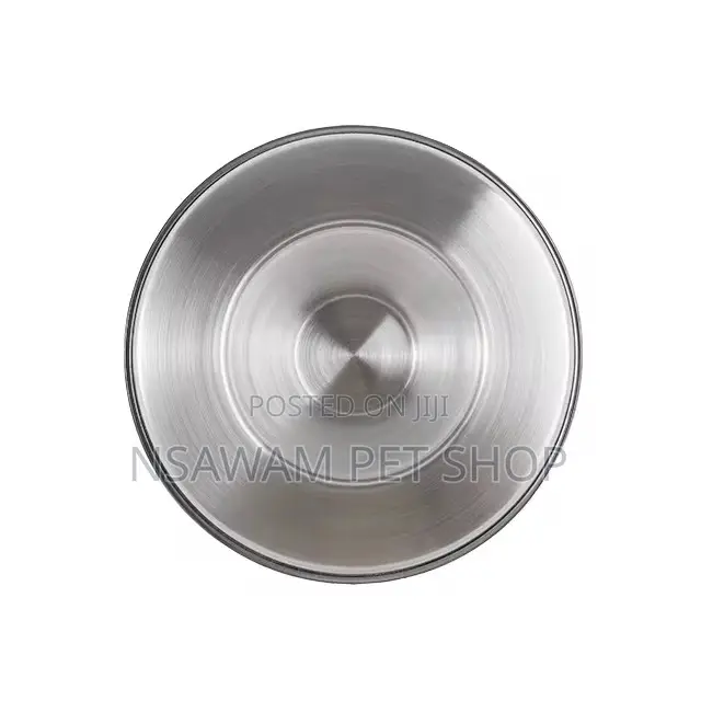 Puppy Saucer Slow Eater