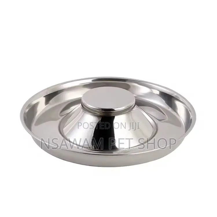 Puppy Saucer Slow Eater