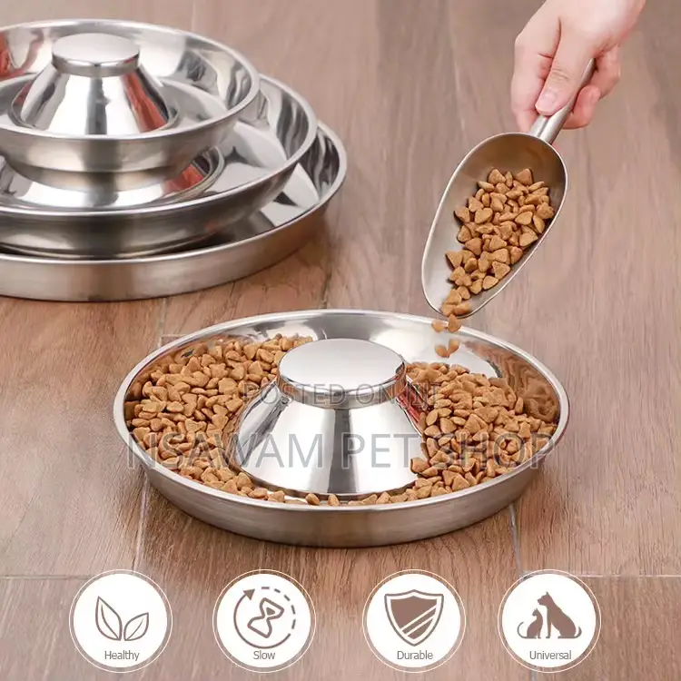 Puppy Saucer Slow Eater