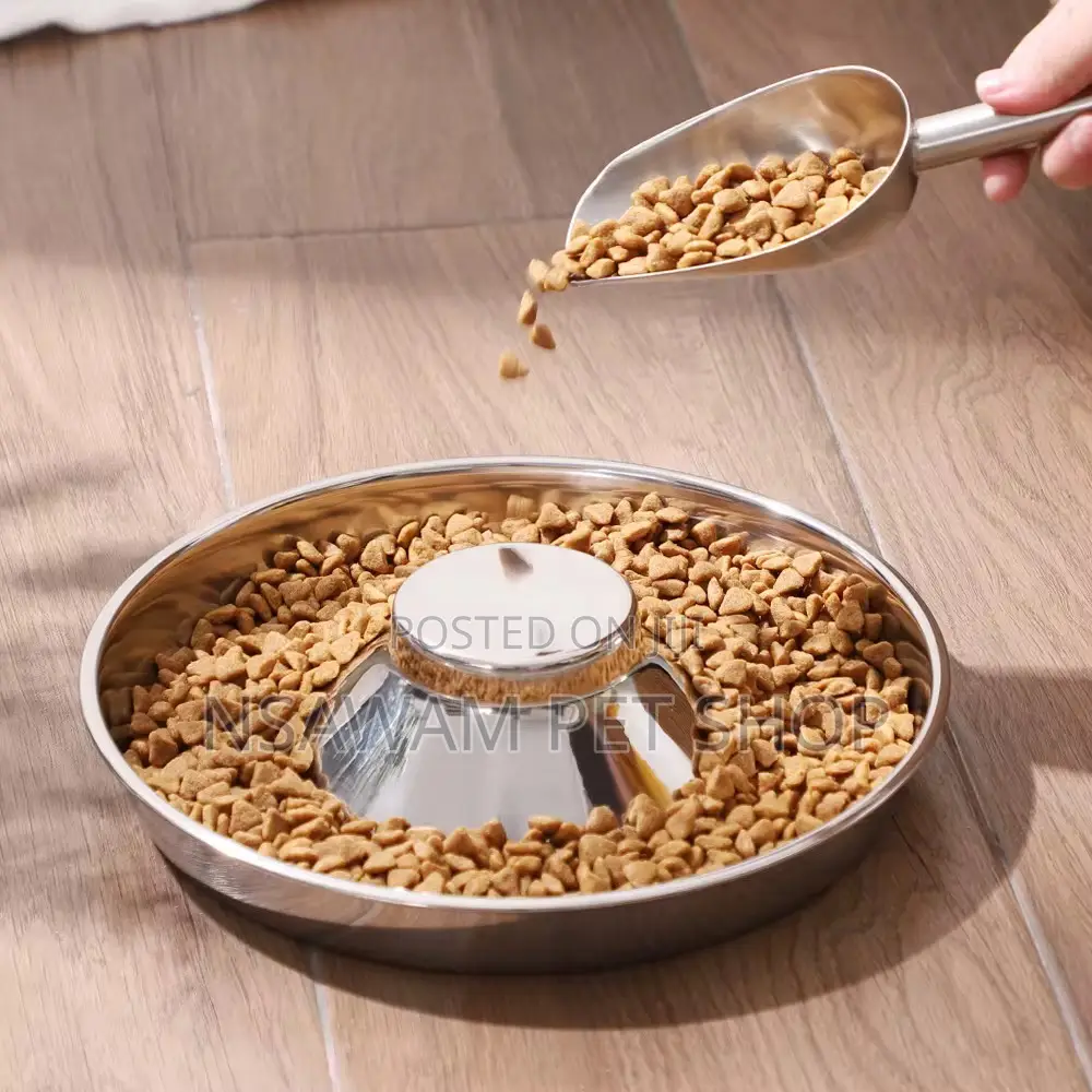Puppy Saucer Slow Eater