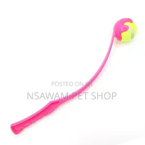 Tennis Ball Thrower
