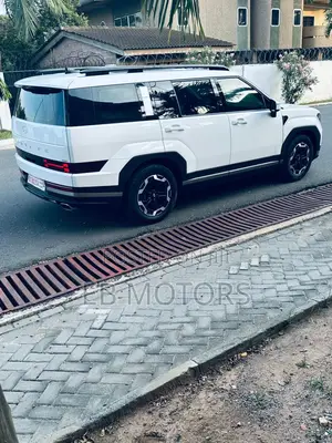 Hyundai Santa Fe Limited 2024 White