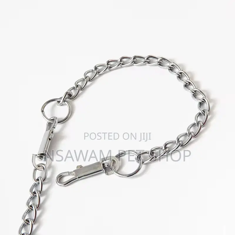 Dog Chain Dog Chain