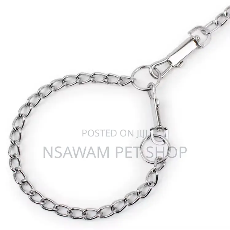 Dog Chain Dog Chain