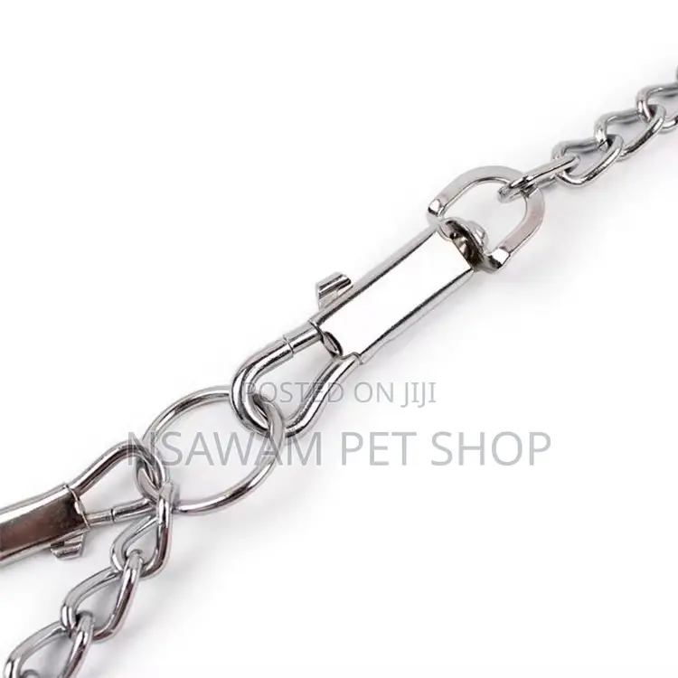 Dog Chain Dog Chain