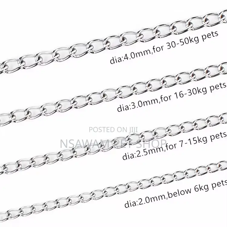 Dog Chain Dog Chain