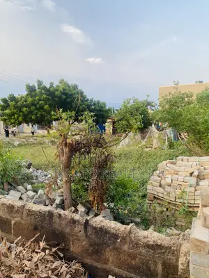 1 Plots of Land for Sale in Tseaddo East Airport Burma Hills