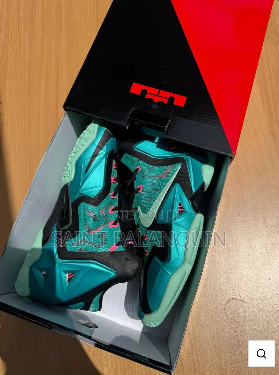 Nike Lebron 11 South Beach