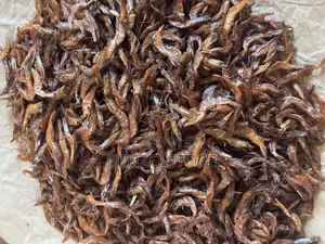 Tasty Smoked Shrimps – 100% Natural Seafood
