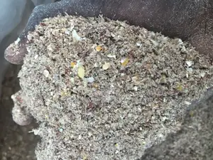 The Organic Rabbit Feed(Mashed 25kg)