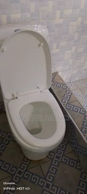 2bdrm Apartment in Sasaabi for rent