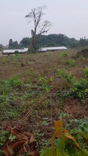 2 Acres of Land, Poultry Farm Land With Bed Room, Ofices, Water, Light