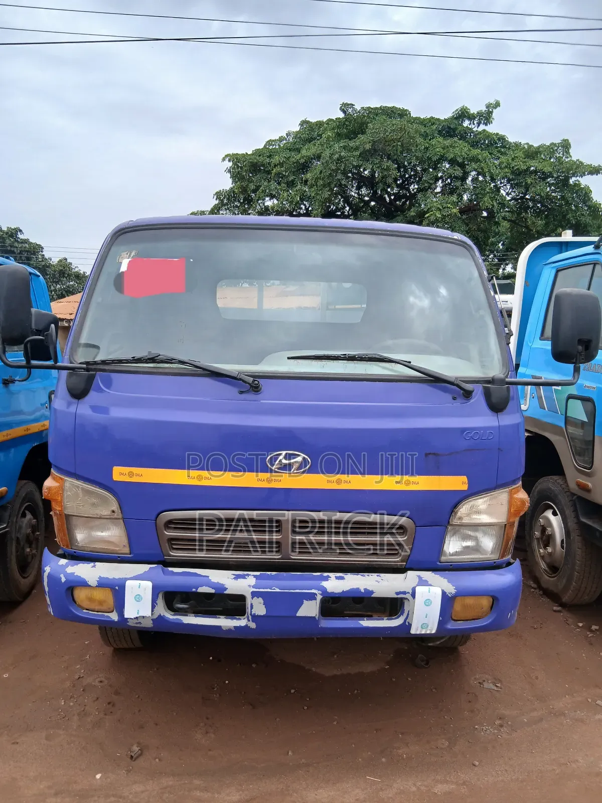 Strong Mighty2 Registered 20