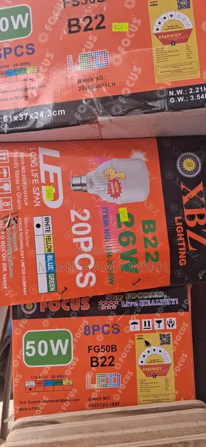 Focus Bulb