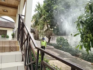 Standout Fumigation of Insects With Cleantex