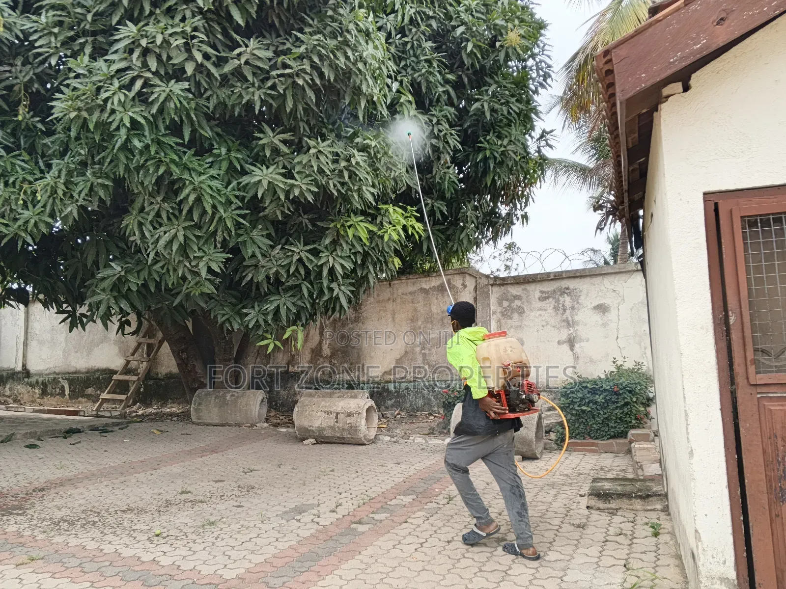 Standout Fumigation of Insects With Cleantex
