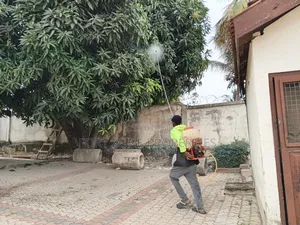 Standout Fumigation of Insects With Cleantex