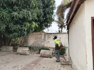 Standout Fumigation of Insects With Cleantex