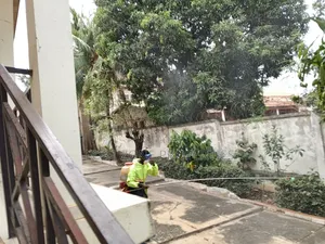Control of All Kinds of Dangerous Pest Homes and Offices