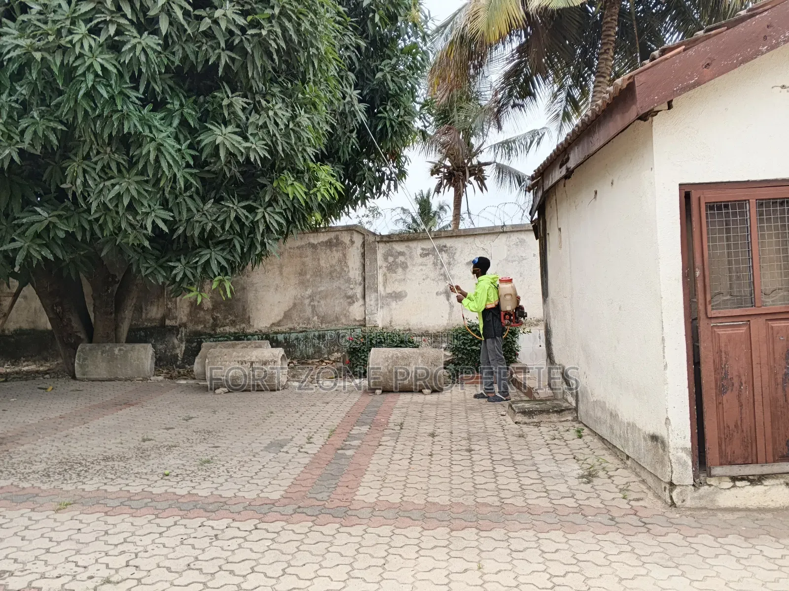 Control of All Kinds of Dangerous Pest Homes and Offices