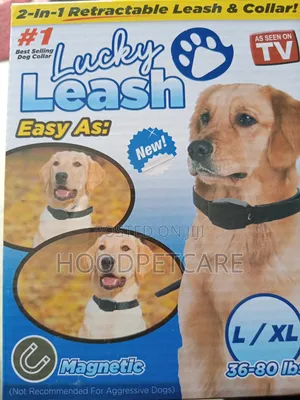2 in 1 Retractable Leash and Collar