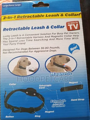 2 in 1 Retractable Leash and Collar