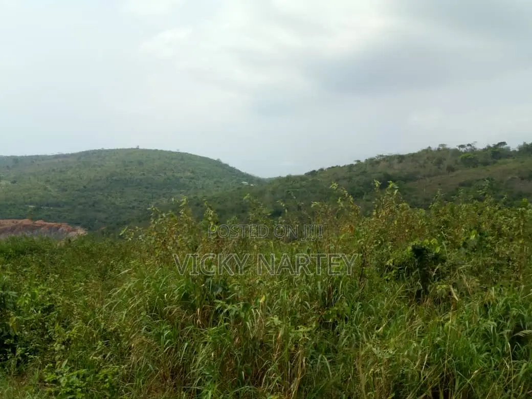 Titled Land in Dodowa for Sale