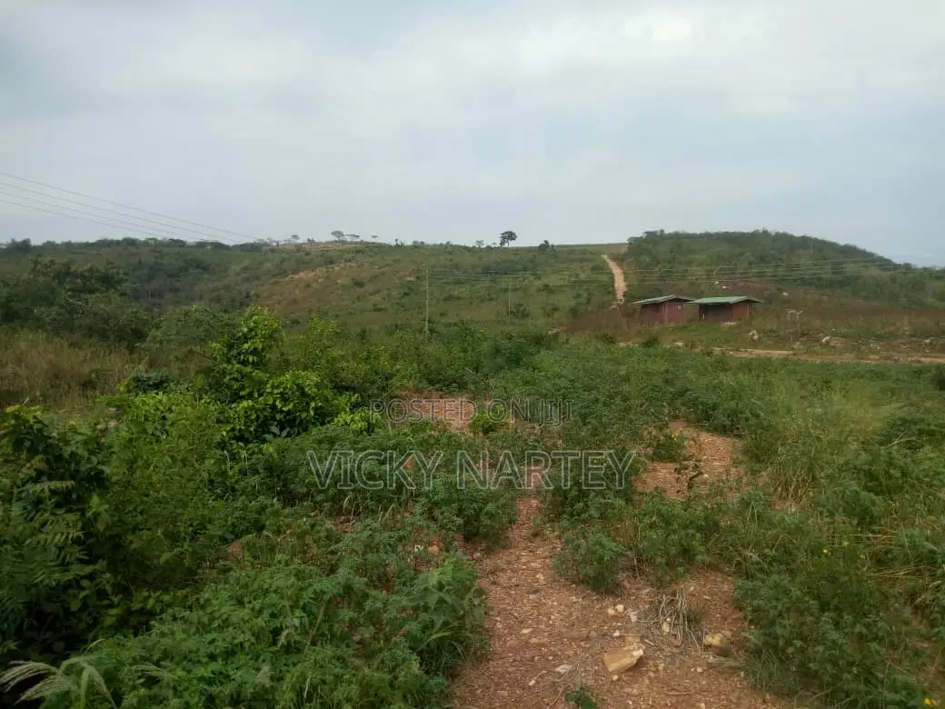 Titled Land in Dodowa for Sale