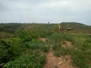 Titled Land in Dodowa for Sale