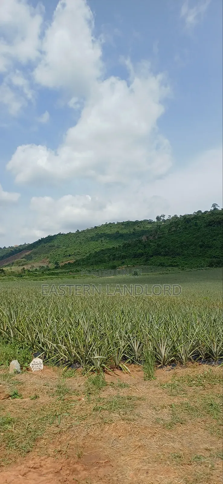 Plot of Land at Aburi-Nsawam