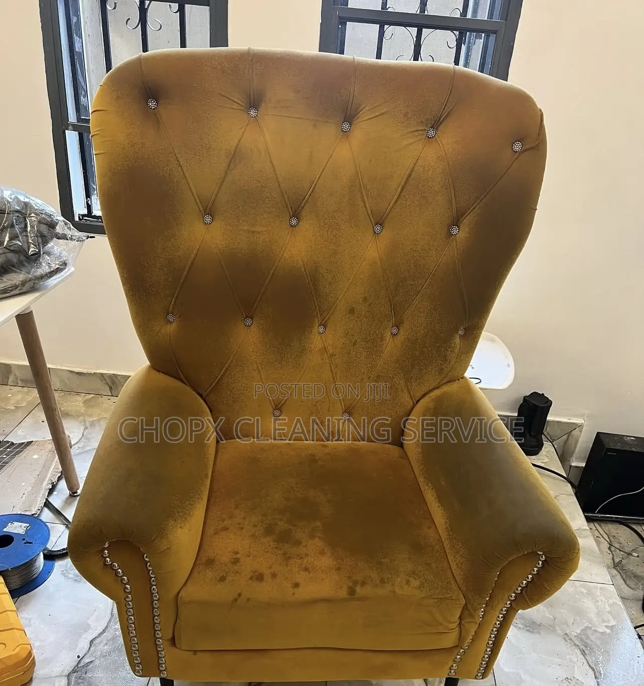 Professional Sofa Rug Cleaning Services