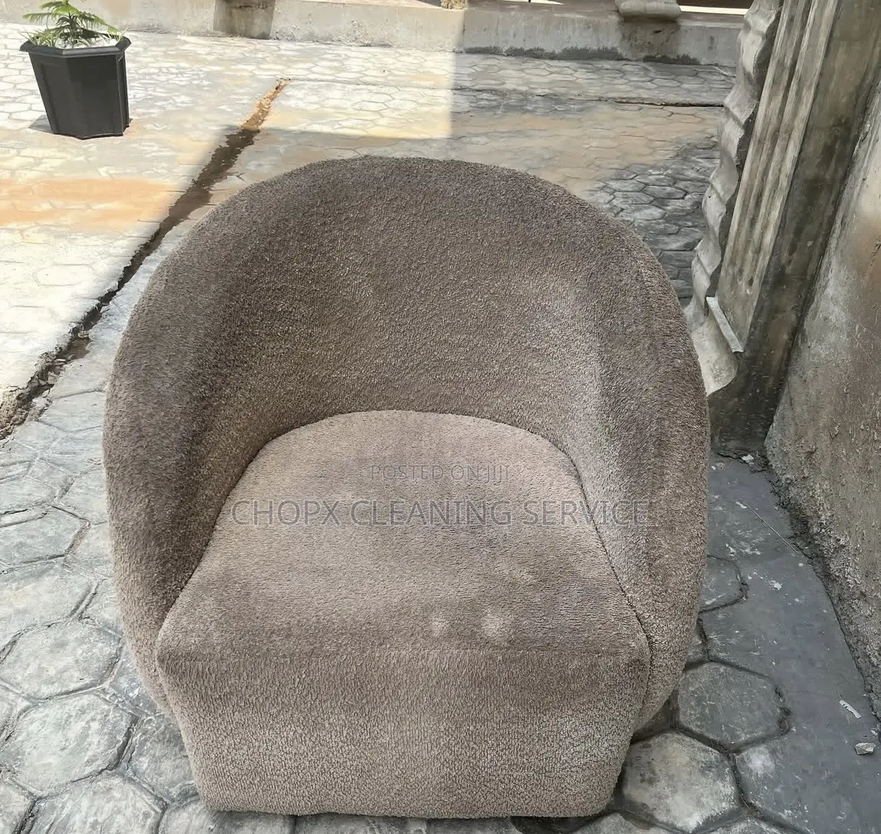 Professional Sofa Rug Cleaning Services