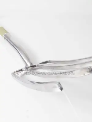 Border Fork (Stainless Steel)