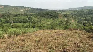 Executive Land for Sale at Aburi Jamaicaso
