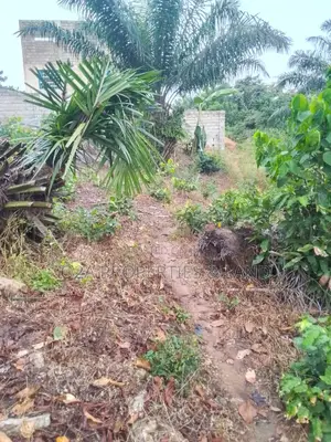 Executive Land for Sale at Aburi