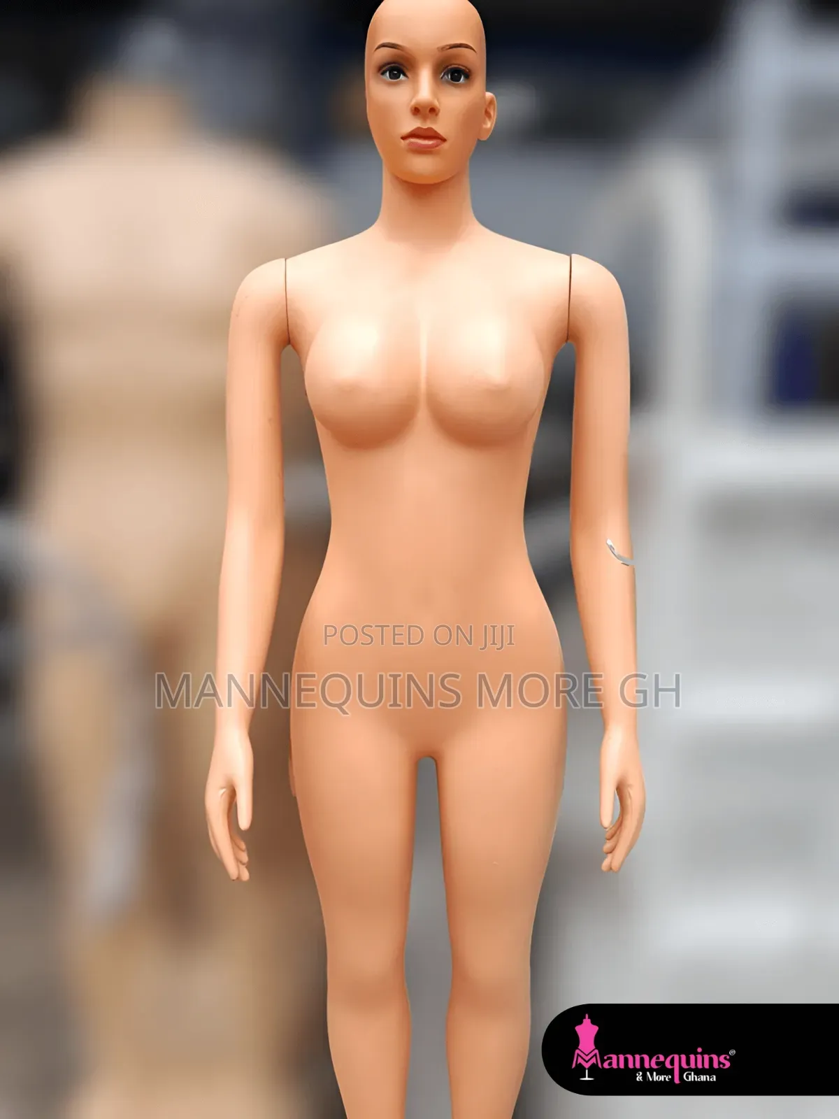 Full Body Female With Bald Head