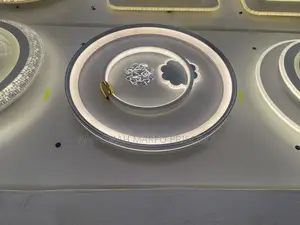 Luxurious Ceiling Light