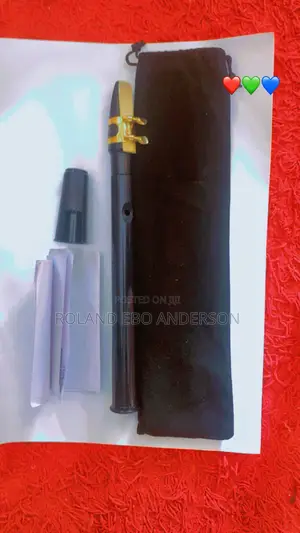 Mini Saxophone With Two Reeds
