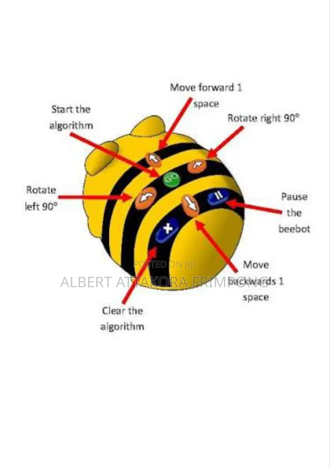 Bee-Bot With Free Mat